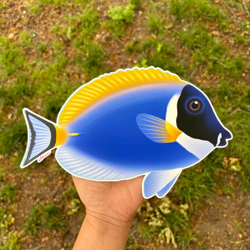 10" Giant Powder Blue Tang Sticker 1