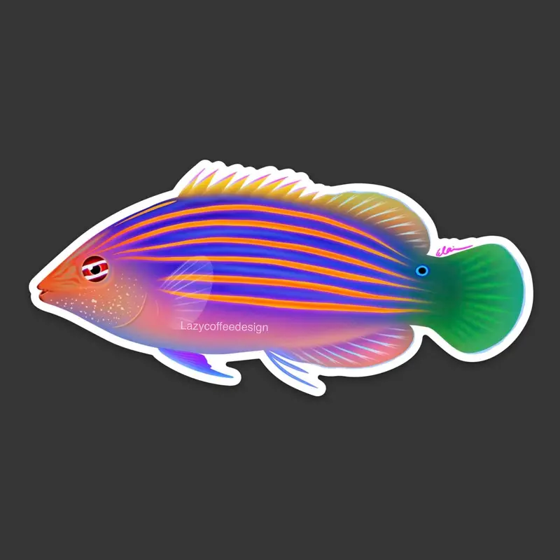 6 Line Wrasse Sticker 1