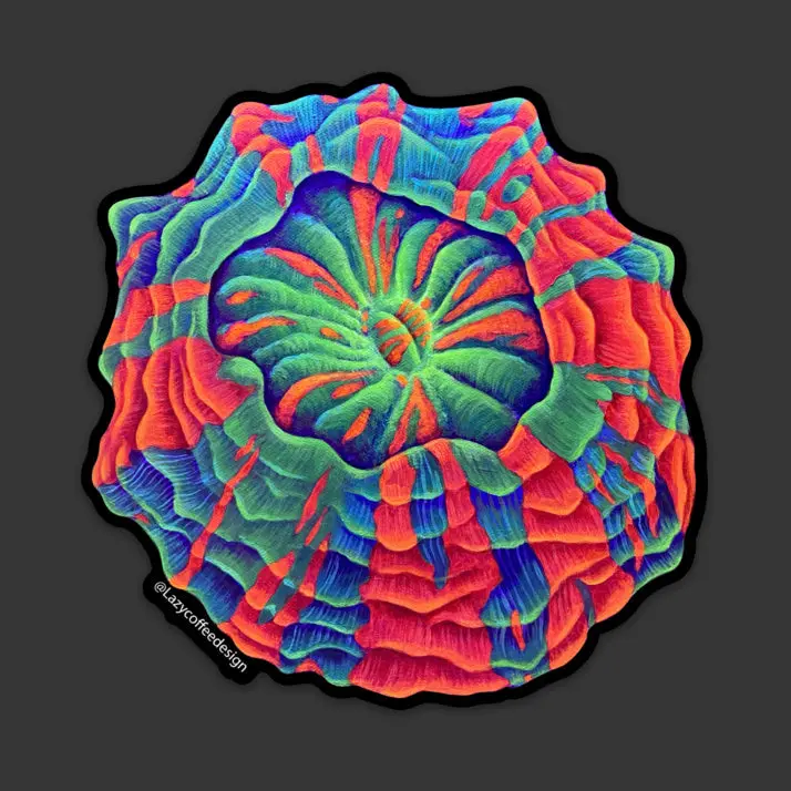 Acantho Sticker 1