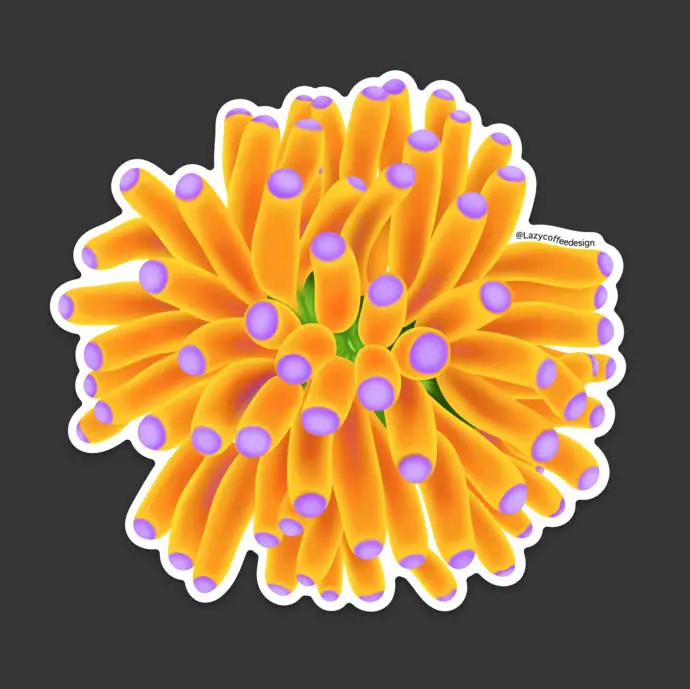 Banana Torch Coral Sticker 1