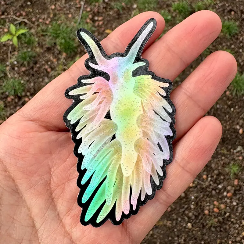 Berghia Nudi 3” Sticker/ Holographic 1