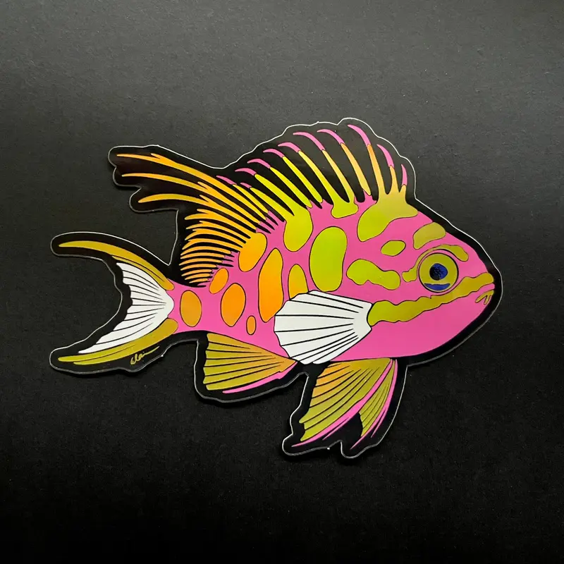 Blotched Anthias Sticker / Holographic 1