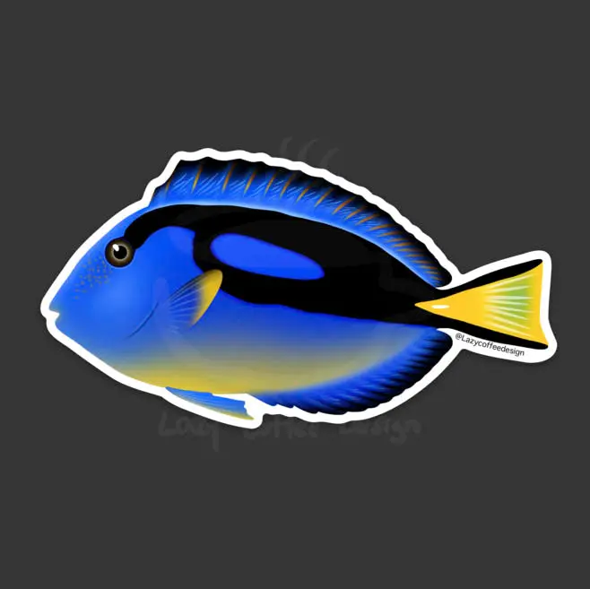 Blue Hippo Tang/ Yellow Belly Sticker 1