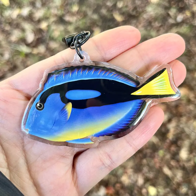Blue Hippo Tang( Yellow Belly)Keychain 1