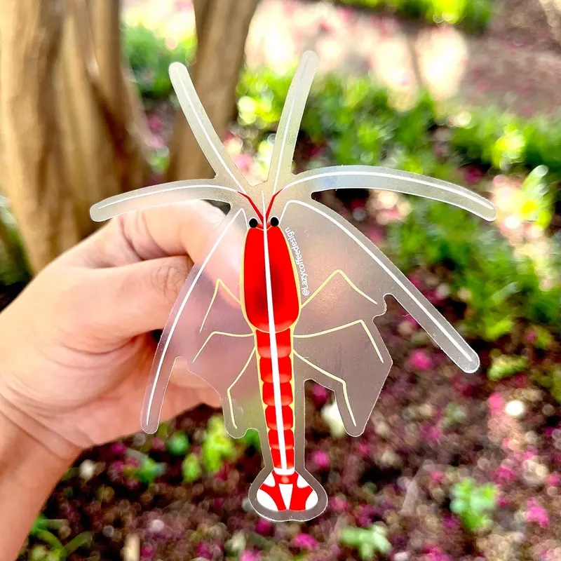 Cleaner Shrimp Sticker (Clear Background) 1