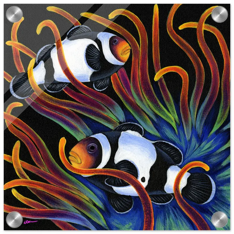 Clownfish And Sunburst Nem Acrylic Print 1