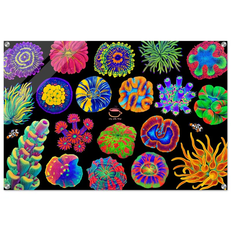 Coral Reef Acrylic Print 36 X 24" 1