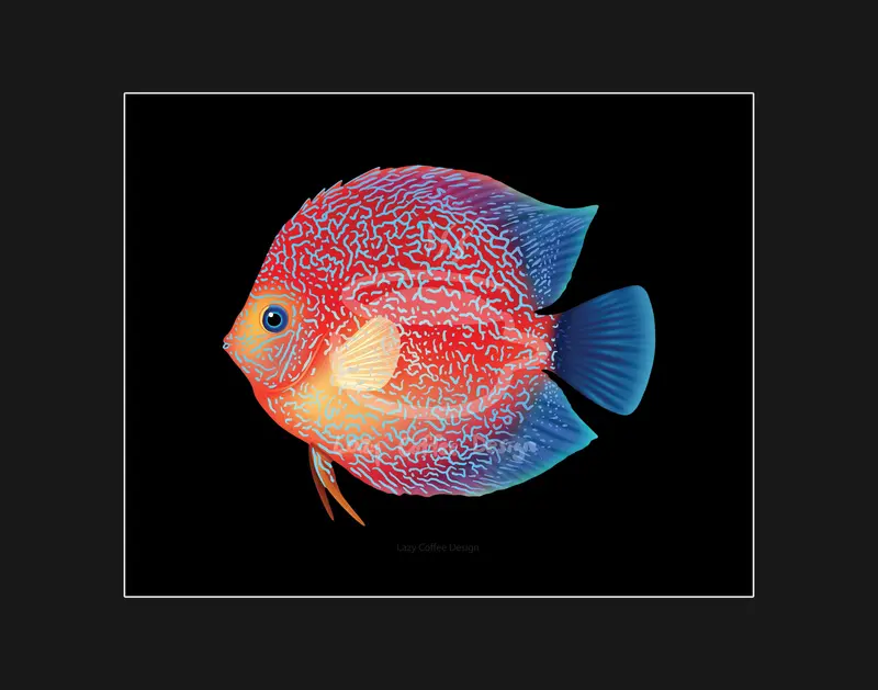 Discus Fish Fine Art Print 11X 14" 1
