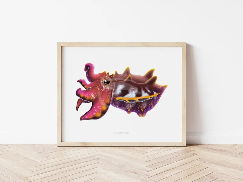 Flamboyant Cuttlefish Fine Art Print 1