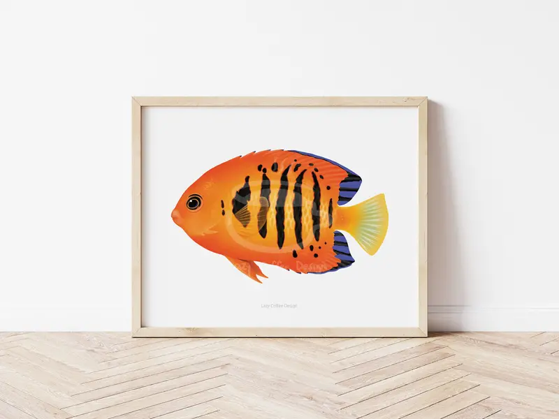 Flame Angelfish Fine Art Print 1