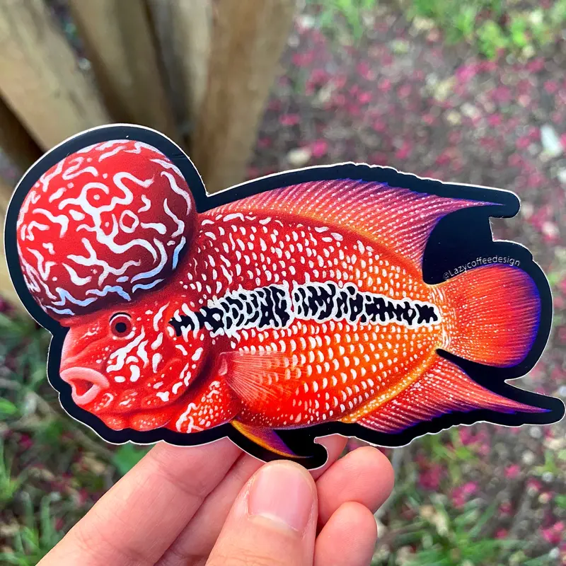 Flower Horn “Good Luck Chuck”Sticker 1