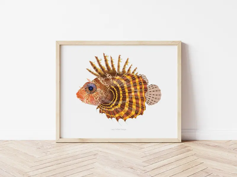 Fuzzy Dwarf Lion Fish Fine Art Print 1