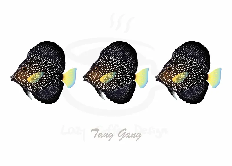 Gem Tang Greeting Cards / 7 Pack 1