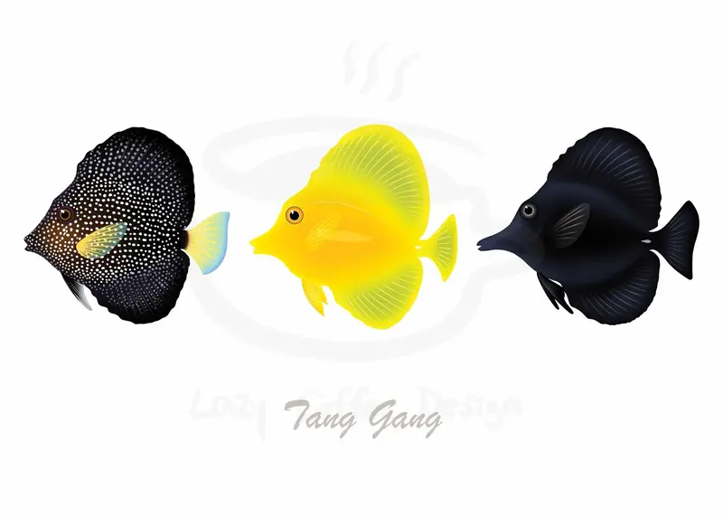Gem, Yellow And Black Tang Greeting Cards / 7 Pack 1