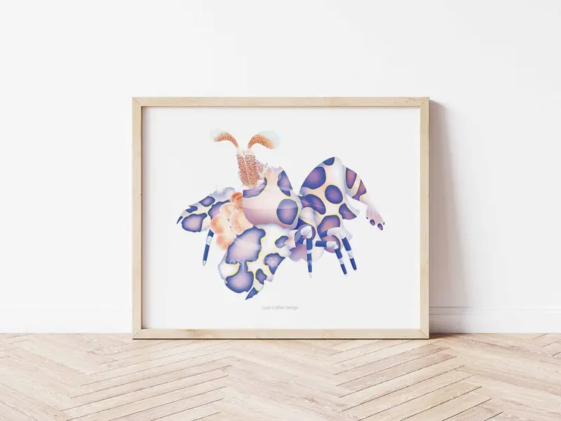 Harlequin Shrimp Fine Art Print 1