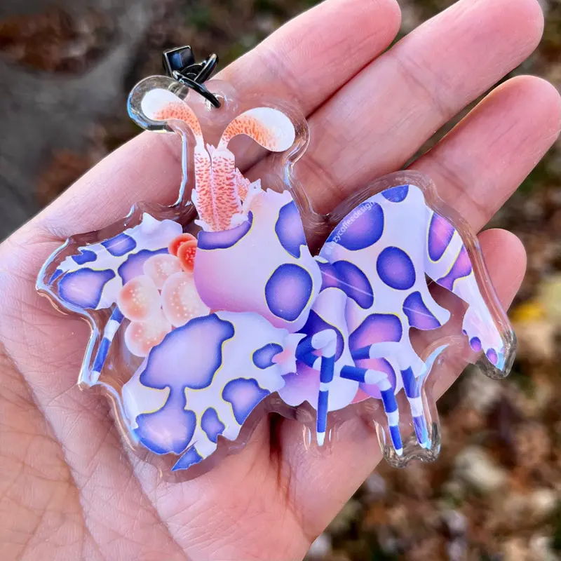Harlequin Shrimp Keychain 1