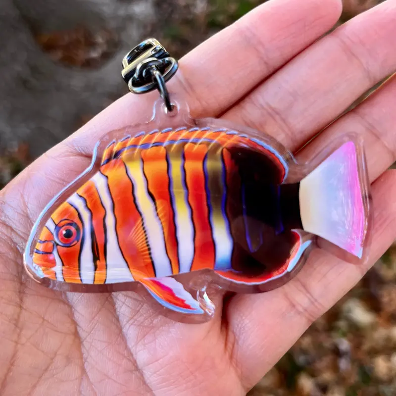 Harlequin Tusk Keychain 1
