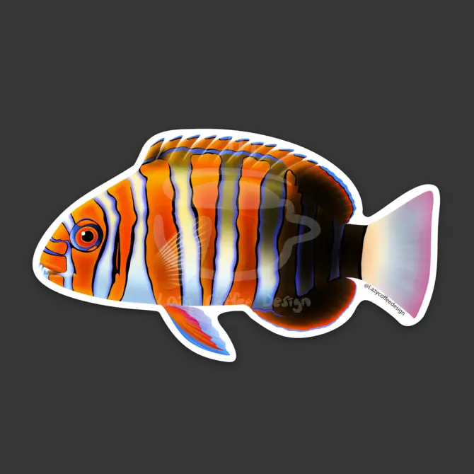 Harlequin Tusk Sticker 1