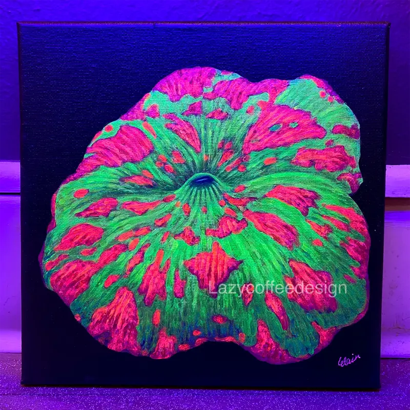 Jawbreaker On 8 X 8 " 1