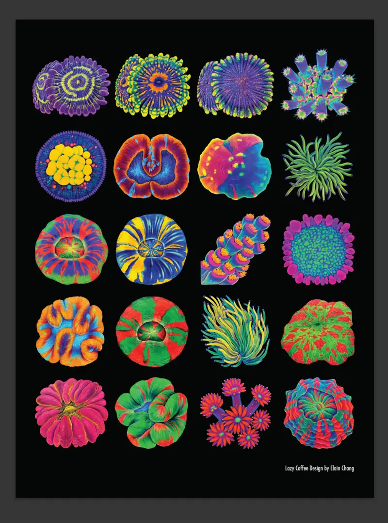 Lazy Coffee Design  Coral Poster(Limited / Last Print) 1