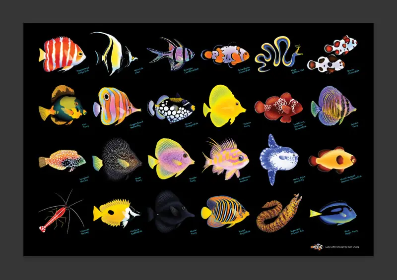 Lazy Coffee Design Fish& Shrimp Poster (Limited / Last Print) 1