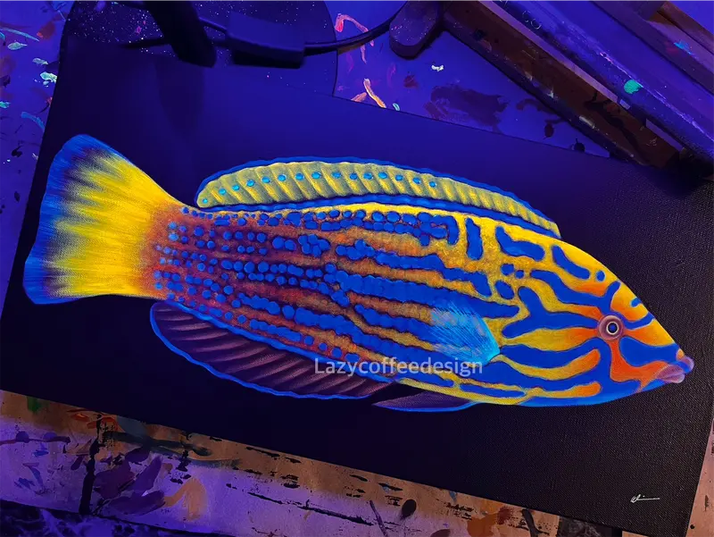 Lenardi Wrasse 10 X 20” Heavy Duty Gallery Wrap 1.5 “Canvas 1