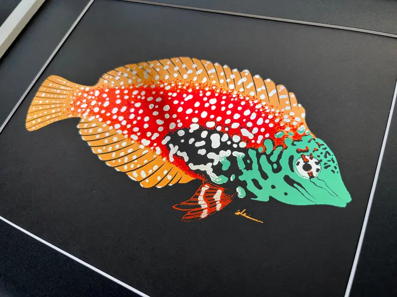 Leopard Wrasse Foil Art Print 1