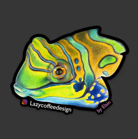 Mandarin Dragonet Sticker 1