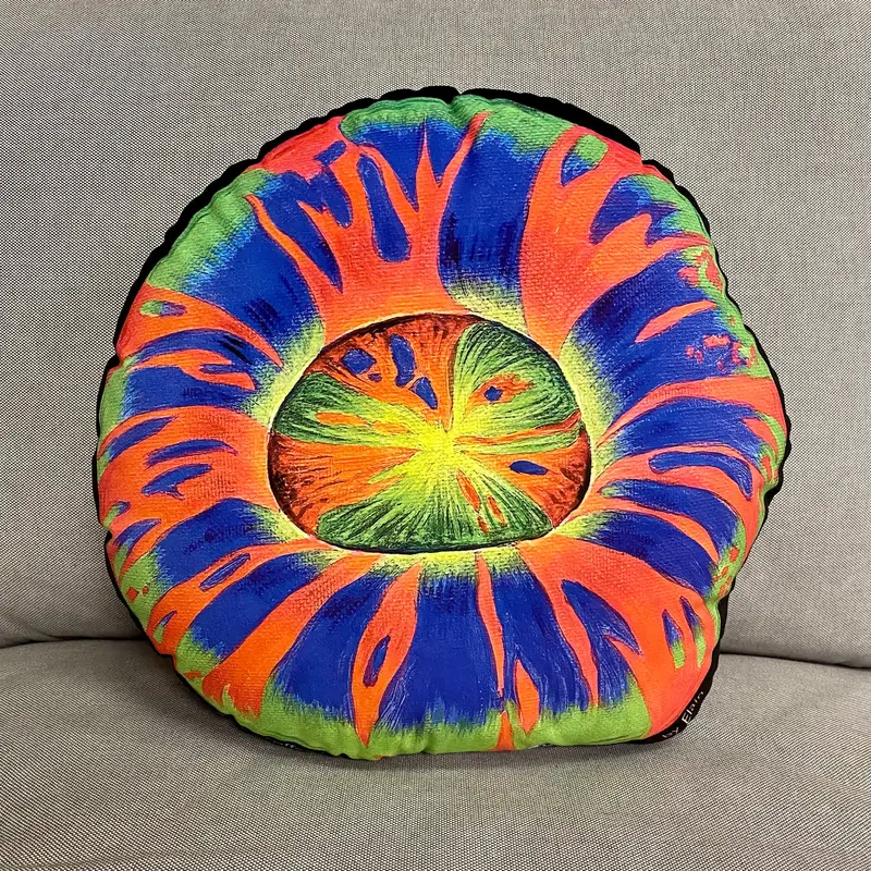 Master Scoly Pillow 1