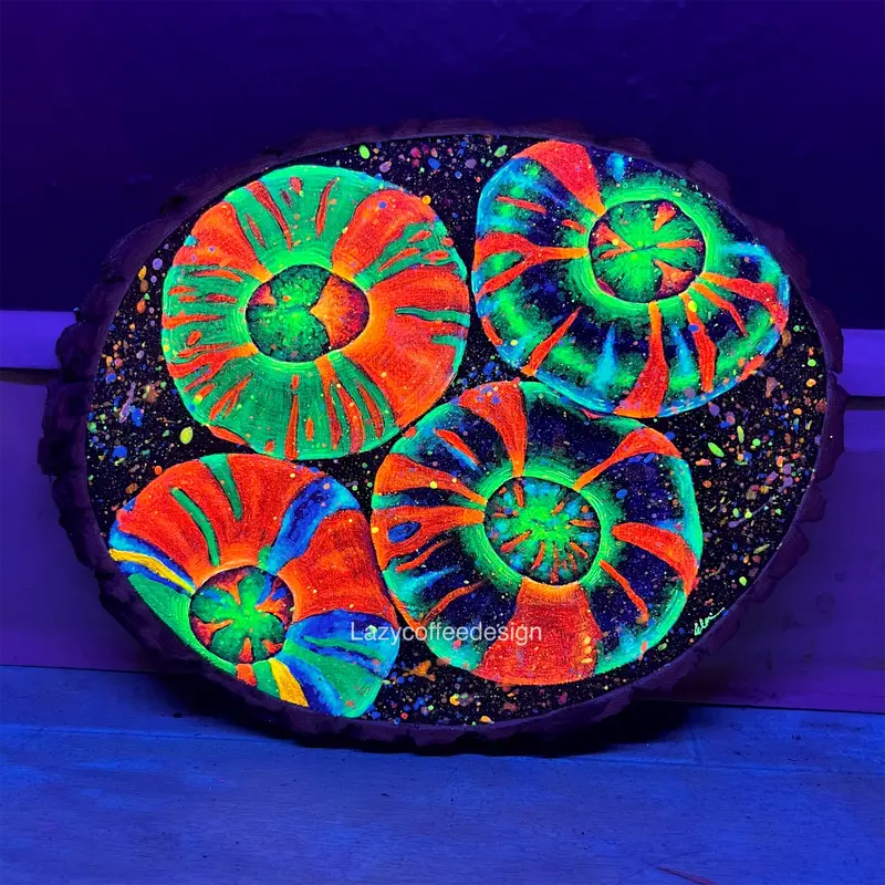 Neptune’S Shield 1