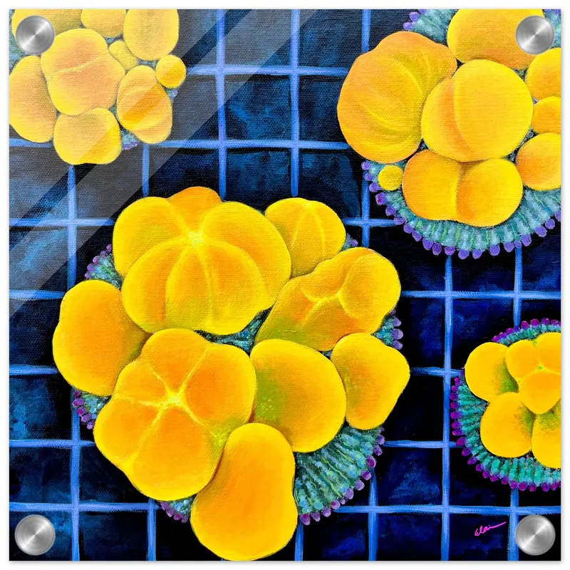 Og Bounce Garden Acrylic Print 1