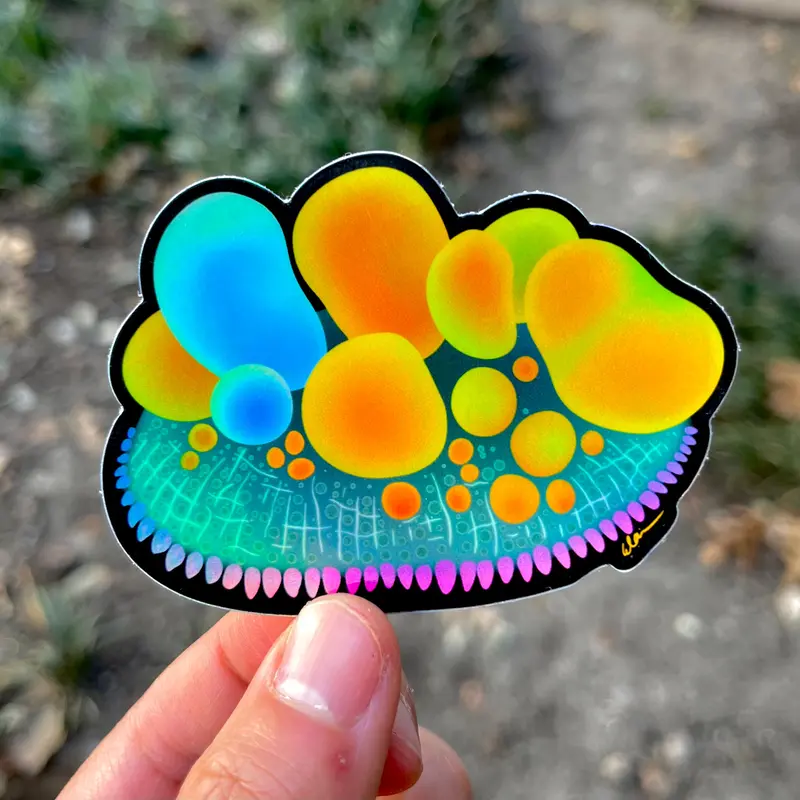 Og Bounce Sticker / Holographic 1
