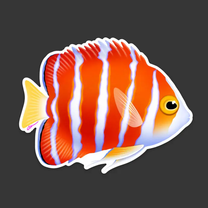 Peppermint Angelfish Sticker 1