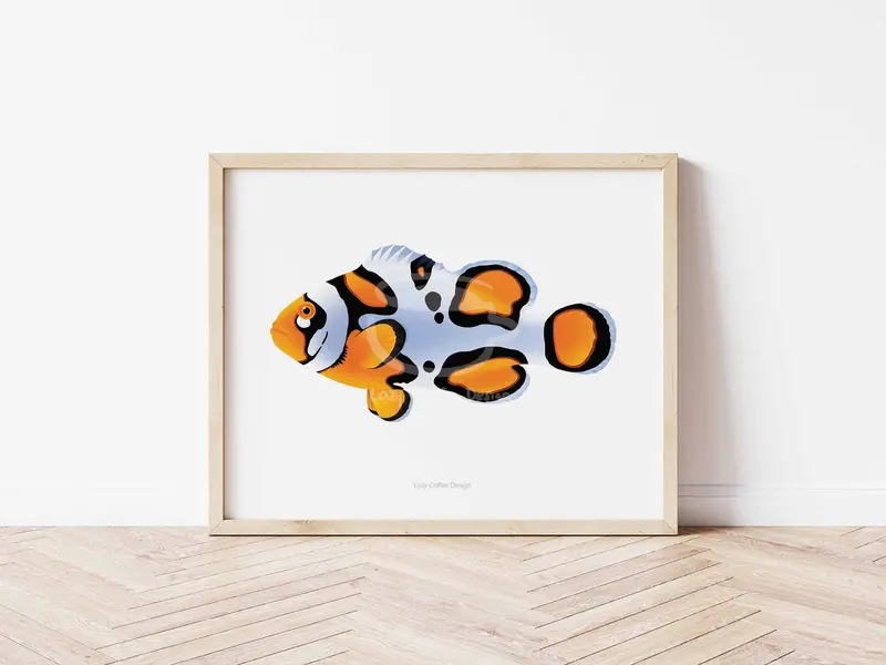 Picasso Clownfish Fine Art Print 1