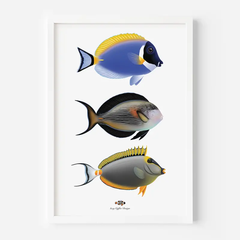 Powder Blue/ Sohal/ Blonde Naso Fine Art Print 13 X 19" 1
