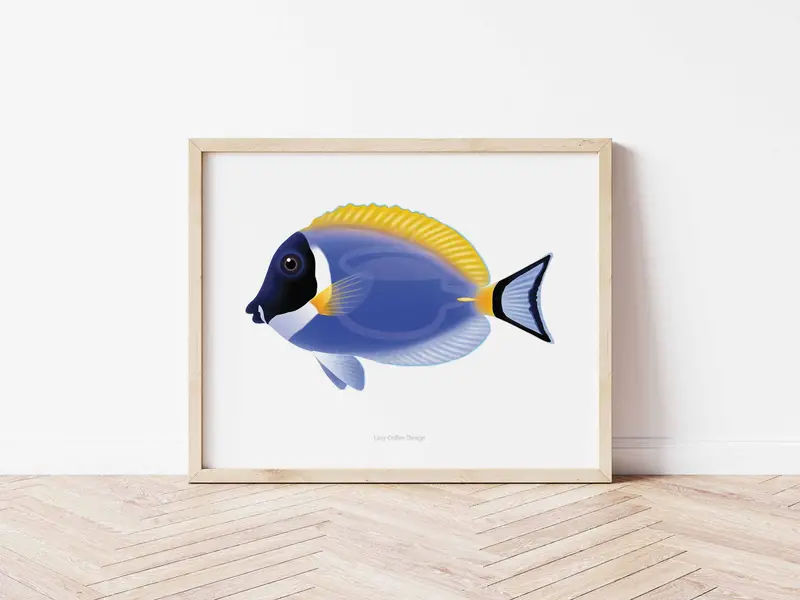 Powder Blue Tang Fine Art Print 1