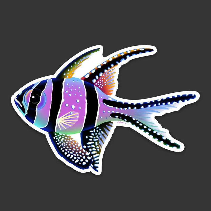 Rainbow Banggai “Fin” Sticker 1