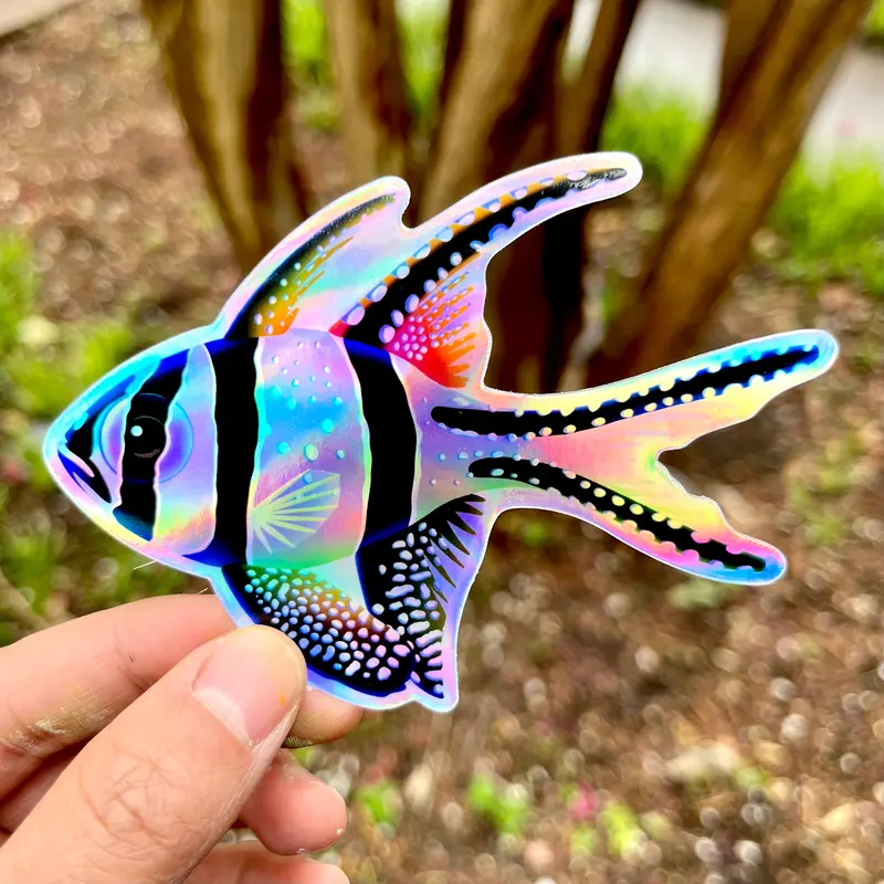 Rainbow Banggai “Fin” Sticker/ Holographic 1