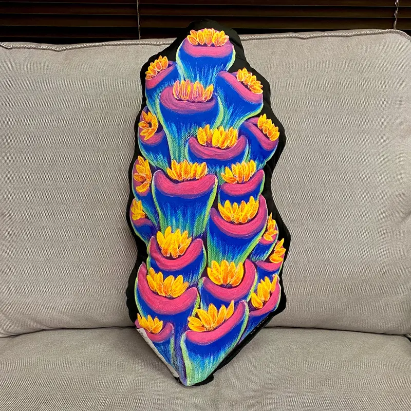 Rainbow Tenuis Pillow 1
