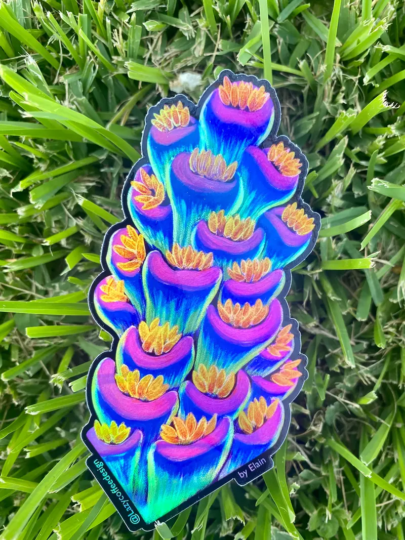 Rainbow Tenuis Sticker/ Holographic[Limited Edition] 1