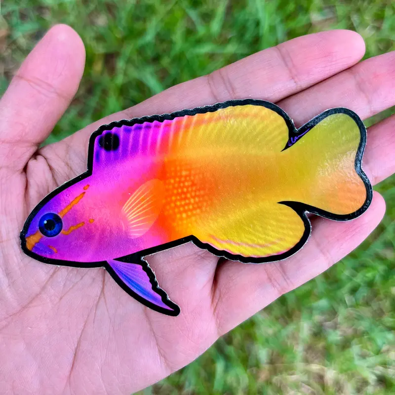 Royal Gramma Sticker / Holographic 1