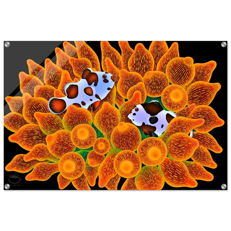 "Sweet Dream" Blackstorm Clownfish And Anemone Acrylic Print 36 X 24" 1