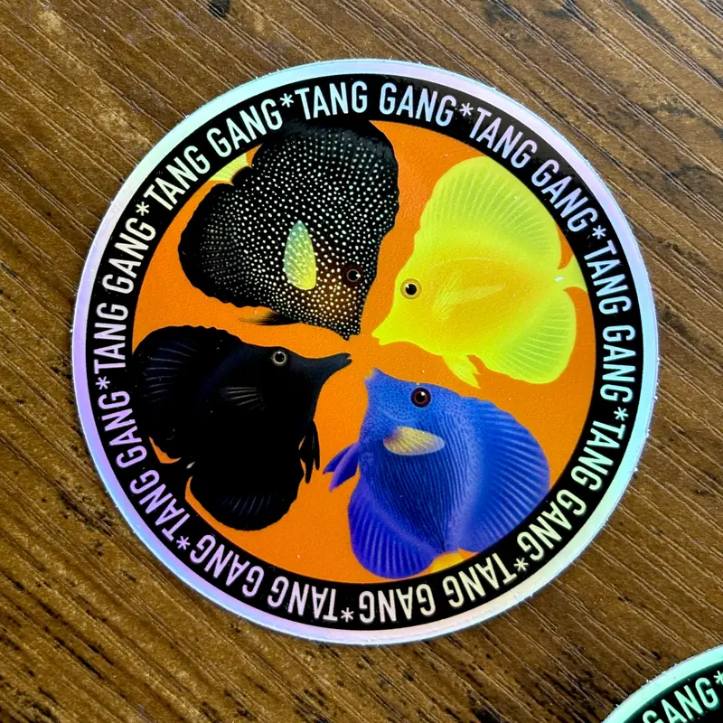 Tang Gang Sticker/ Holographic 1