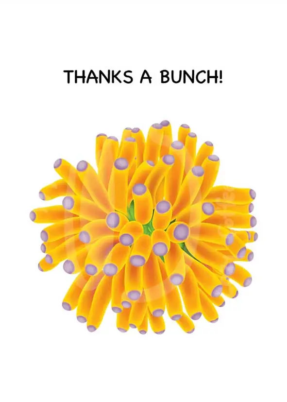 Thanks A Bunch/ Banana Torch Greeting Cards / 7 Pack 1