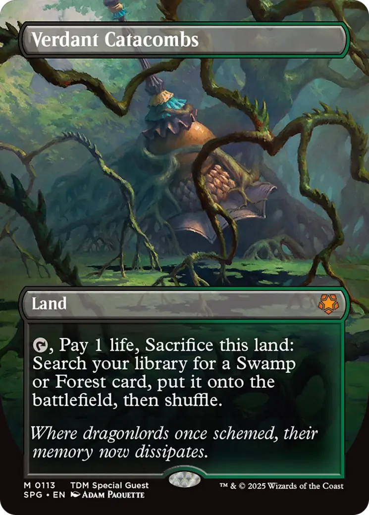 Verdant Catacombs (Borderless) [Tarkir: Dragonstorm Special Guests] 1