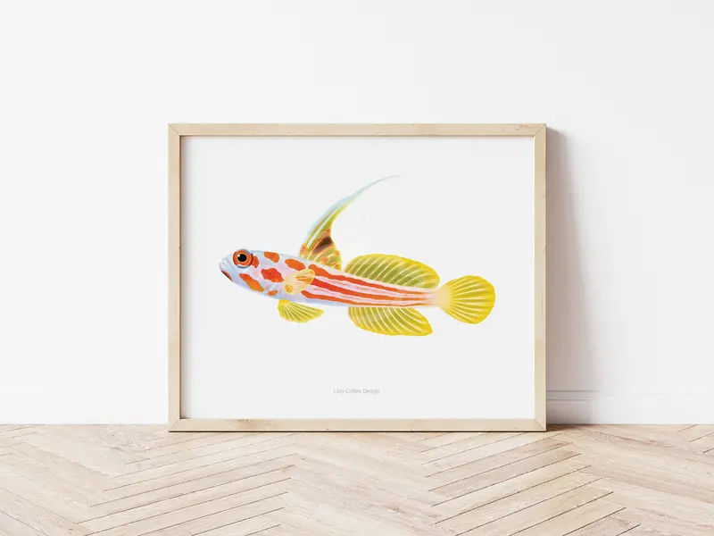 Yasha Goby Fine Art Print 1