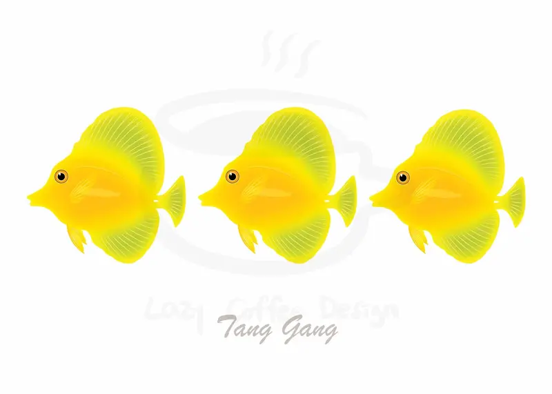 Yellow Tang Greeting Cards / 7 Pack 1