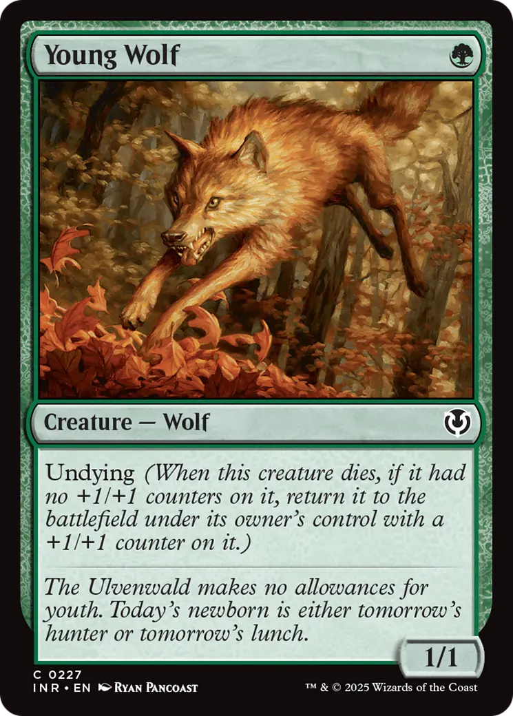 Young Wolf [Innistrad Remastered] 1