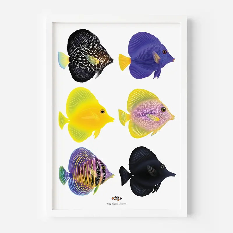 Zebrasoma Love Fine Art Print 13 X 19" 1