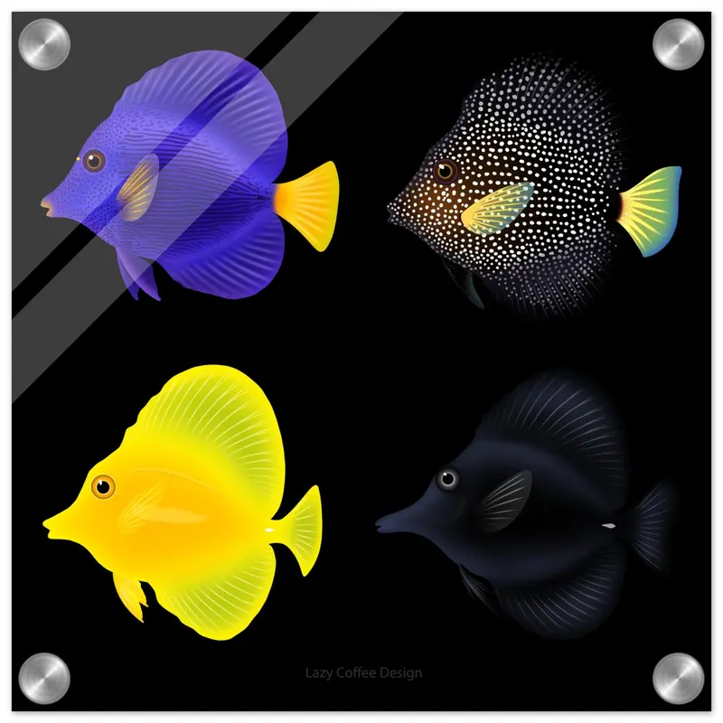 Zebrasoma Tangs Acrylic Print 1